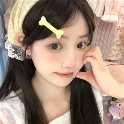 狗狗情缘